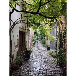 GR 126 - De Bruxelles à la Semois