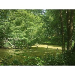 GR 126 - De Bruxelles à la Semois