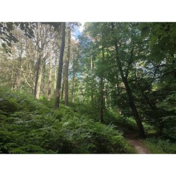 GR 126 - De Bruxelles à la Semois