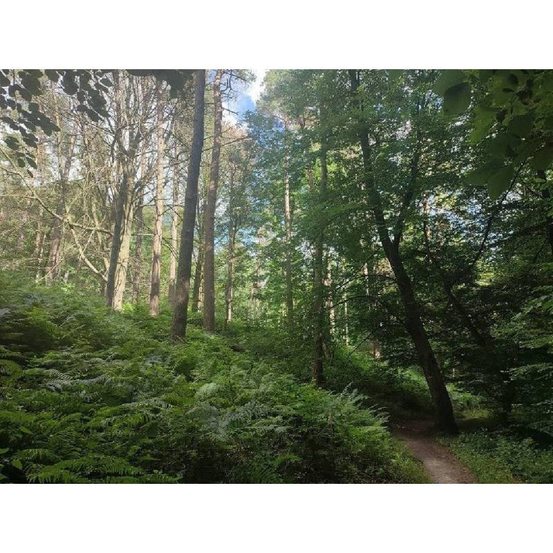 GR 126 - De Bruxelles à la Semois