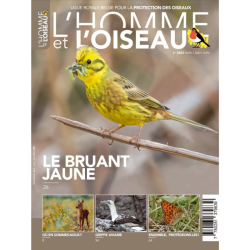 Revue L'Homme et l'Oiseau - Le bruant jaune 2/2023