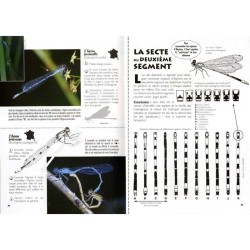 À la rencontre des libellules - Découvrez le monde fabuleux des odonates