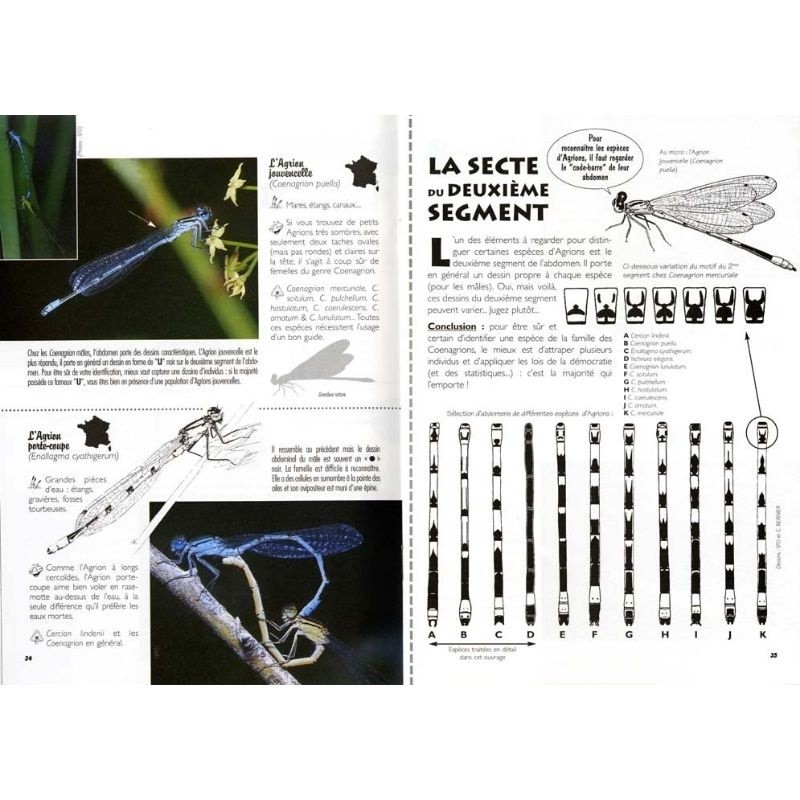 À la rencontre des libellules - Découvrez le monde fabuleux des odonates