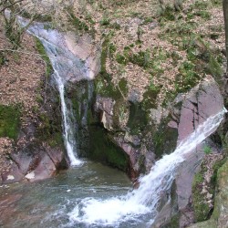 GR 15 - Sentiers de l'Ardenne - De la Lorraine belge à l’Eifel GR 15 - Sentiers de l'Ardenne - De la Lorraine belge à l’Eifel