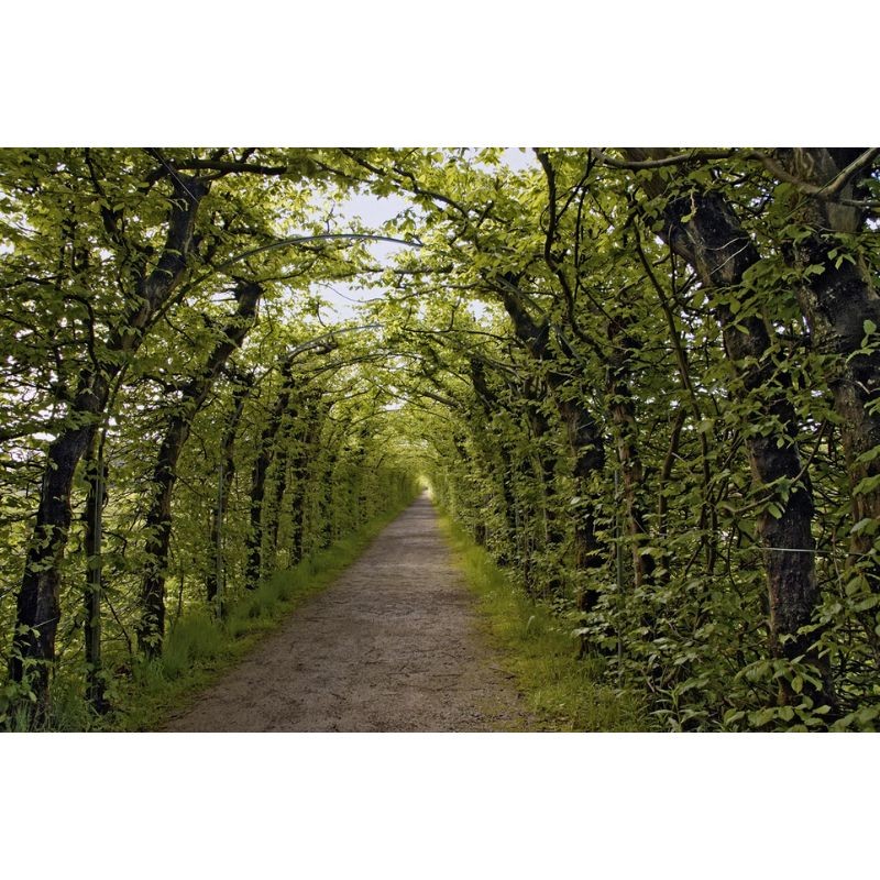 GR 15 - Sentiers de l'Ardenne - De la Lorraine belge à l’Eifel GR 15 - Sentiers de l'Ardenne - De la Lorraine belge à l’Eifel