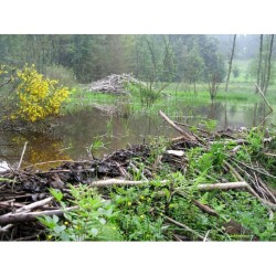 L’Amblève par les GR