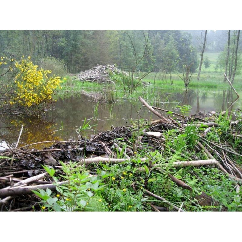 L’Amblève par les GR