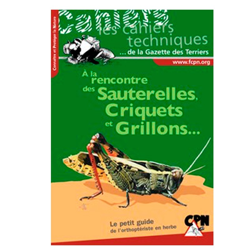 À la rencontre des Sauterelles, Criquets et Grillons... - Le petit guide de l'orthoptériste en herbe