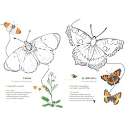 Les papillons des parcs & jardins - Coloriages nature - CPN