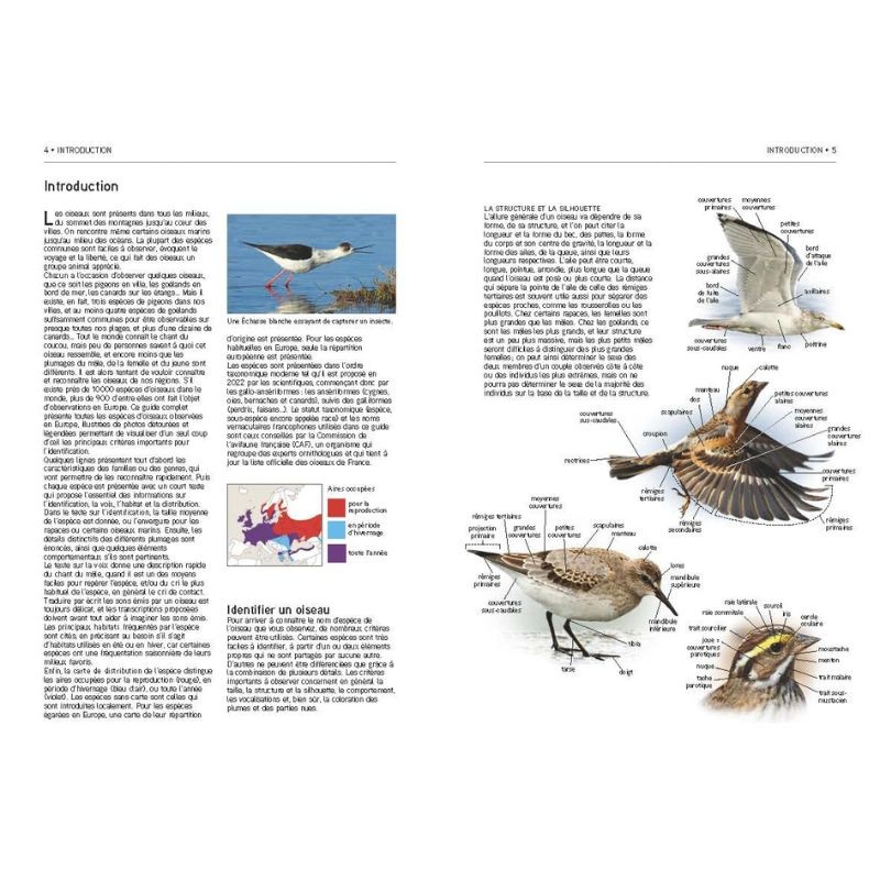 Tous les oiseaux d'Europe - Plus de 930 espèces en 3000 photos