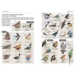 Tous les oiseaux d'Europe - Plus de 930 espèces en 3000 photos Tous les oiseaux d'Europe - Plus de 930 espèces en 3000 photos