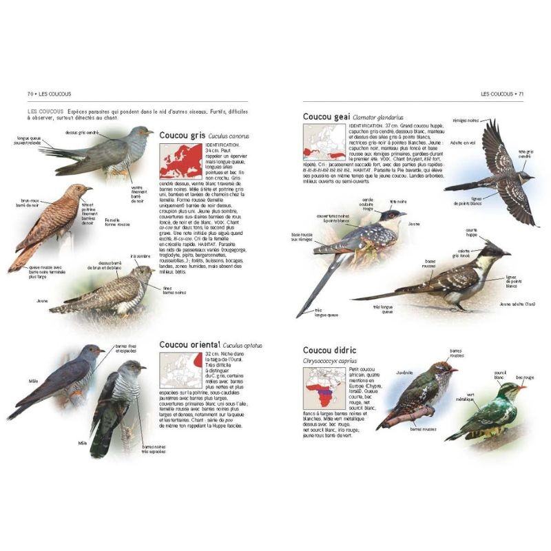 Tous les oiseaux d'Europe - Plus de 930 espèces en 3000 photos