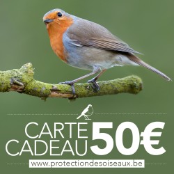 Carte cadeau 50€
