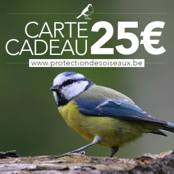 Carte cadeau 25€
