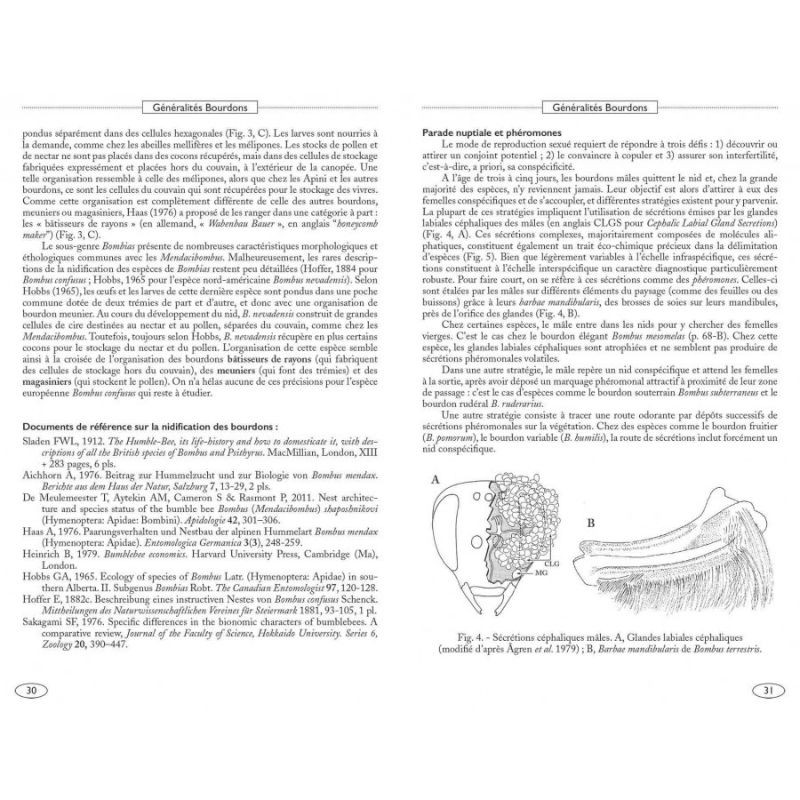 Bourdons d'Europe et des contrées voisines - Hyménoptères d'Europe - 3