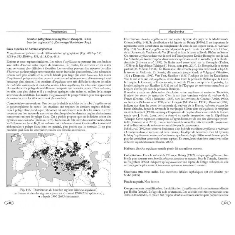 Bourdons d'Europe et des contrées voisines - Hyméno d'Europe • 3