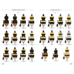 Bourdons d'Europe et des contrées voisines - Hyméno d'Europe •3