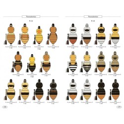 Bourdons d'Europe et des contrées voisines - Hyménoptères d'Europe - 3