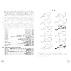 Symphytes d'Europe - Hyménoptères d'Europe • 2
