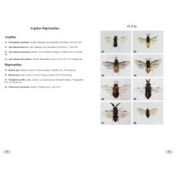 Symphytes d'Europe - Hyménoptères d'Europe • 2