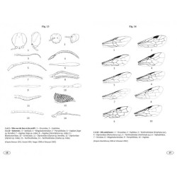 Symphytes d'Europe - Hyménoptères d'Europe • 2