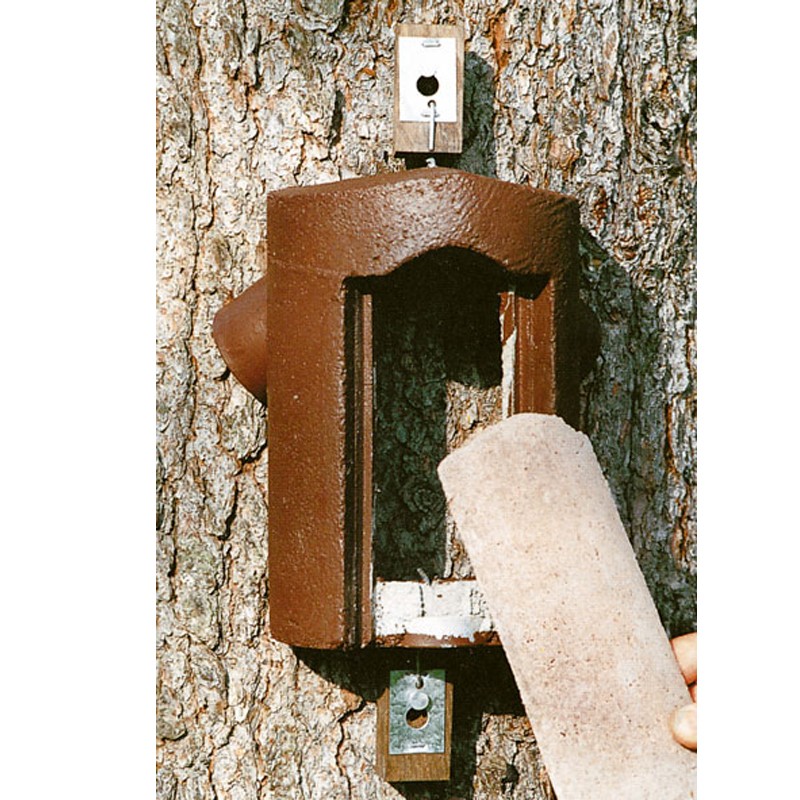 Nichoir pour grimpereaux en béton de bois avec face amovible - Schwegler (2B - 141/2)