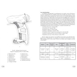 Mygales du Monde - Theraphosidae Mygales du Monde - Theraphosidae