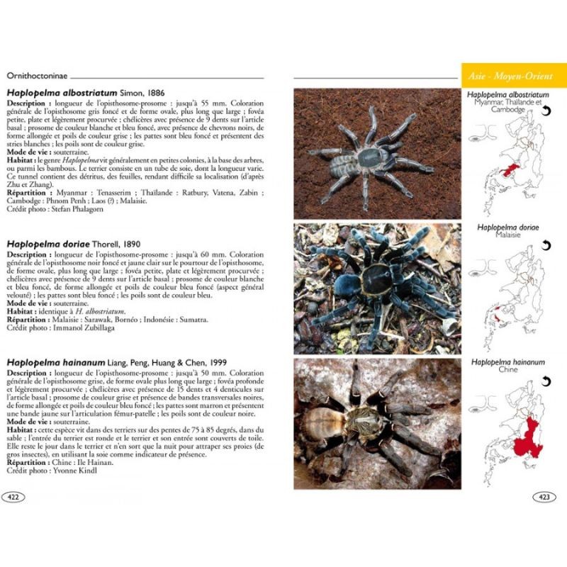 Mygales du Monde - Theraphosidae