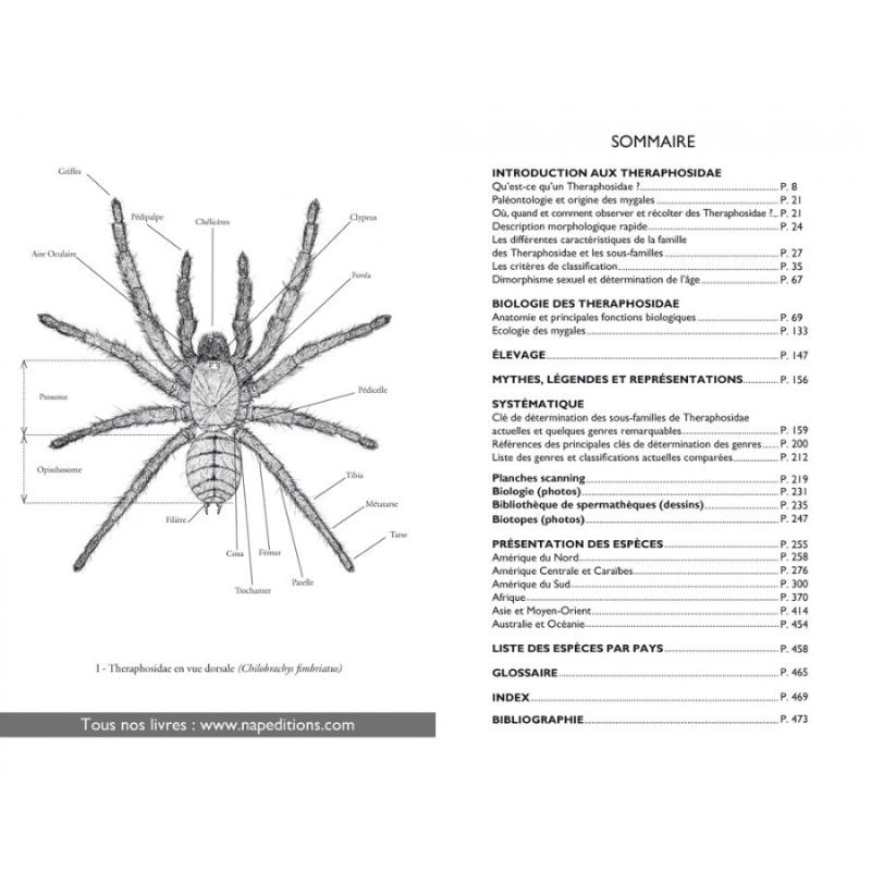 Mygales du Monde - Theraphosidae