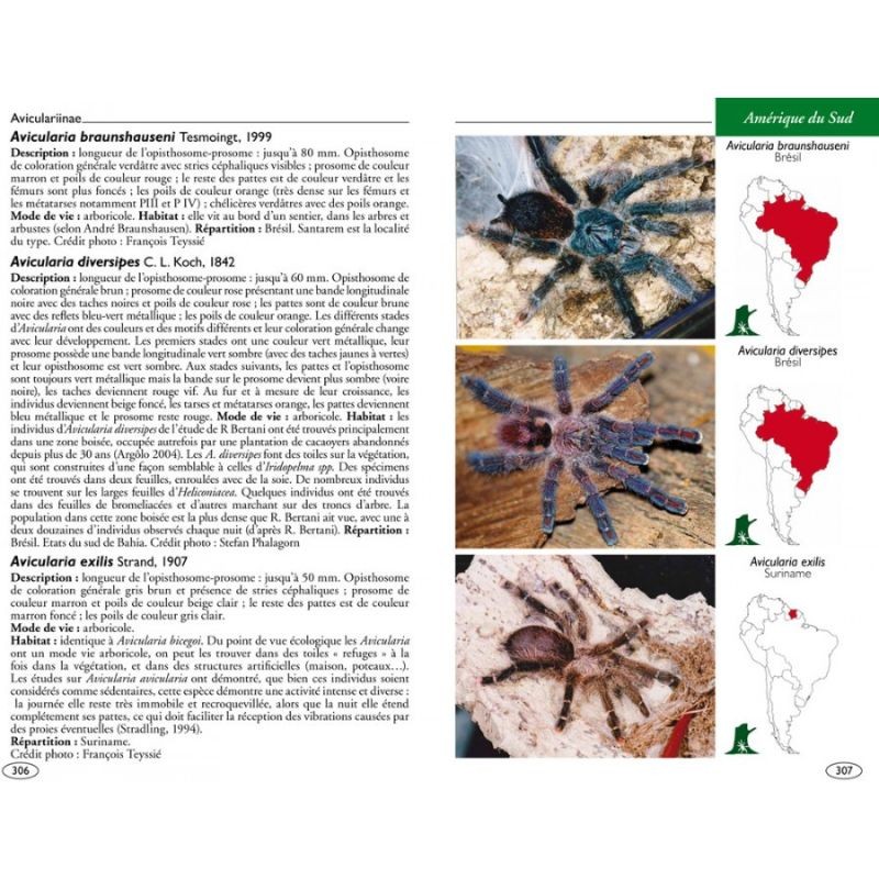 Mygales du Monde - Theraphosidae