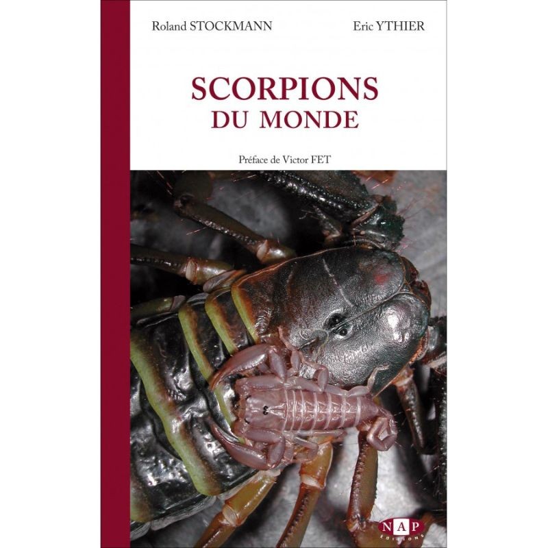 Scorpions du monde