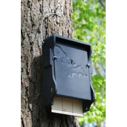 Gîte à chauves-souris plat avec panneau dorsal en bois - Béton de bois - Schwegler (1FF - 139/9) Gîte à chauves-souris plat avec panneau dorsal en bois - Béton de bois - Schwegler (1FF - 139/9)