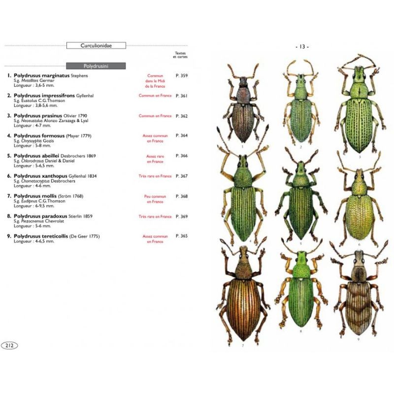 Coléoptères phytophages d'Europe - Tome 3 - Charançons 1