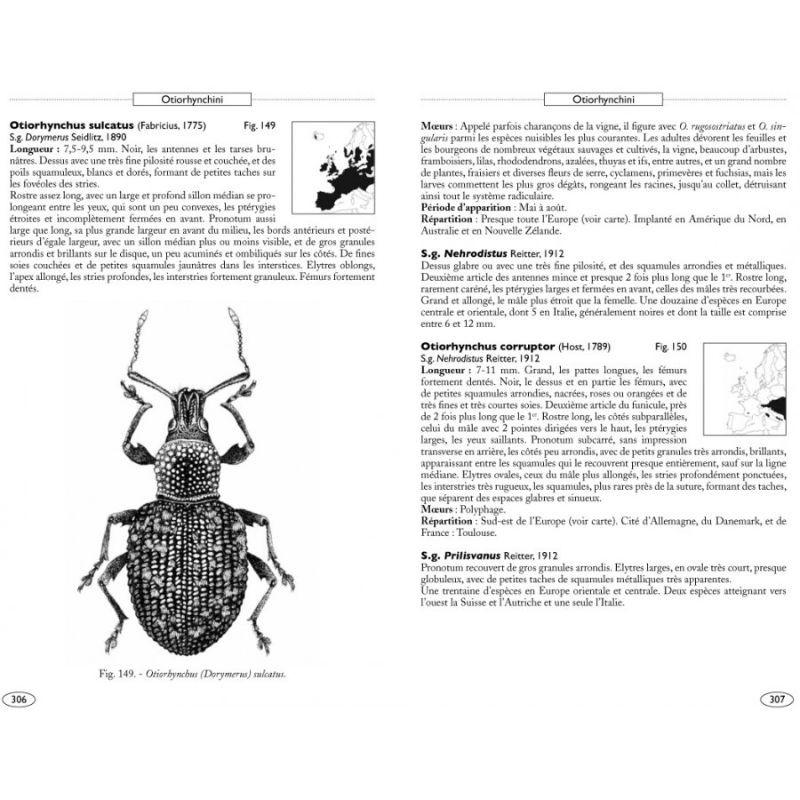 Coléoptères phytophages d'Europe - Tome 3 - Charançons 1