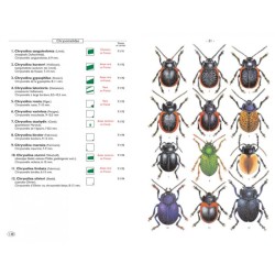 Coléoptères phytophages d'Europe - Tome 2 - Chrysomelidae