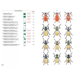 Coléoptères phytophages d'Europe - Tome 2 - Chrysomelidae