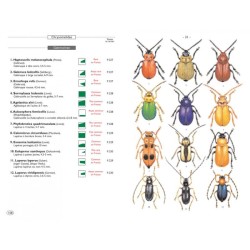 Coléoptères phytophages d'Europe - Tome 2 - Chrysomelidae