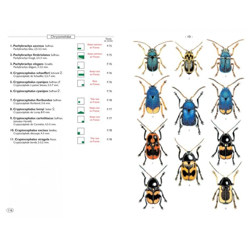 Coléoptères phytophages d'Europe - Tome 2 - Chrysomelidae