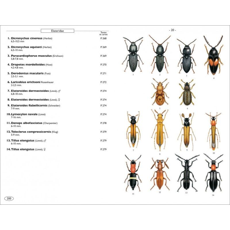 Coléoptères phytophages d'Europe - Tome 1