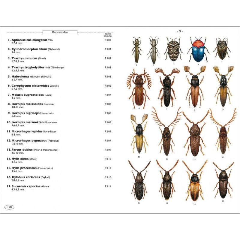 Coléoptères phytophages d'Europe - Tome 1