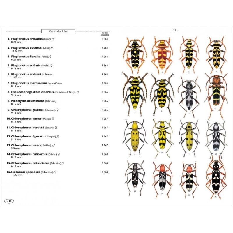 Coléoptères phytophages d'Europe - Tome 1