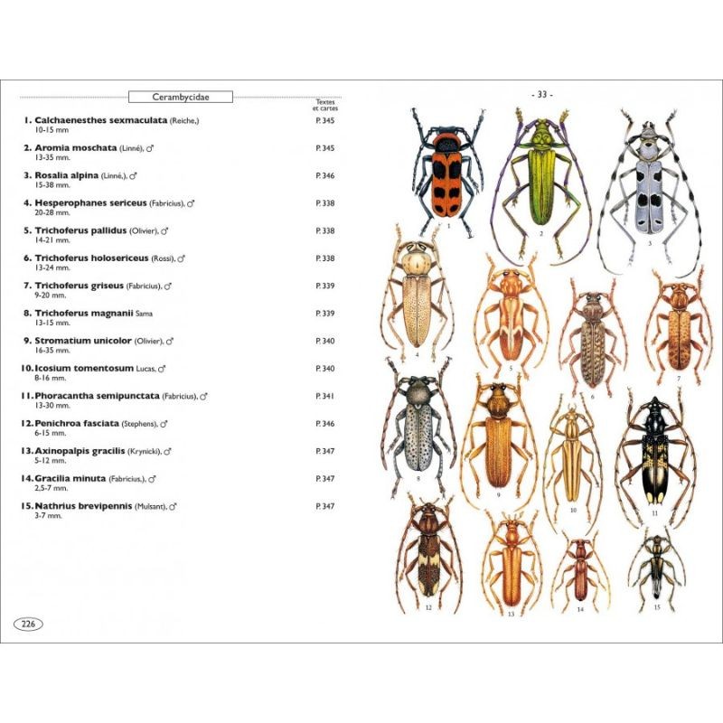 Coléoptères phytophages d'Europe - Tome 1