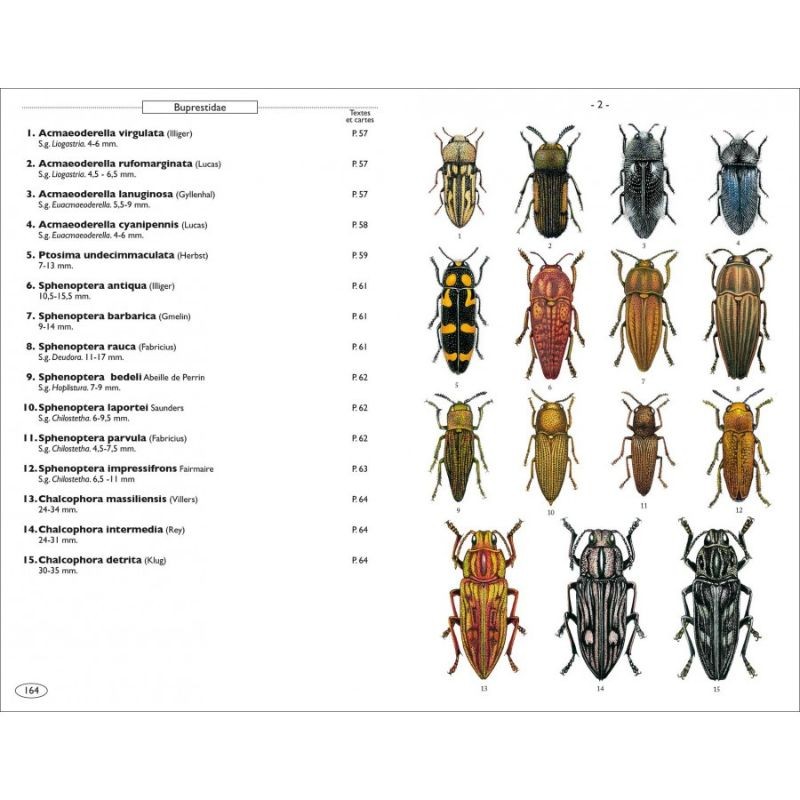 Coléoptères phytophages d'Europe - Tome 1
