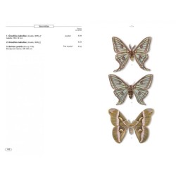 Papillons de nuit d'Europe - Volume 1 - Bombyx, Sphinx, Ecailles... Papillons de nuit d'Europe - Volume 1 - Bombyx, Sphinx, Ecailles...