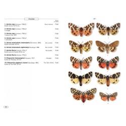 Papillons de nuit d'Europe - Volume 1 - Bombyx, Sphinx, Ecailles... Papillons de nuit d'Europe - Volume 1 - Bombyx, Sphinx, Ecailles...