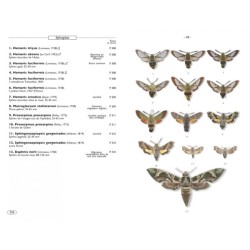 Papillons de nuit d'Europe - Volume 1 - Bombyx, Sphinx, Ecailles... Papillons de nuit d'Europe - Volume 1 - Bombyx, Sphinx, Ecailles...