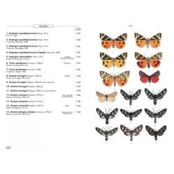 Papillons de nuit d'Europe - Volume 1 - Bombyx, Sphinx, Ecailles... Papillons de nuit d'Europe - Volume 1 - Bombyx, Sphinx, Ecailles...