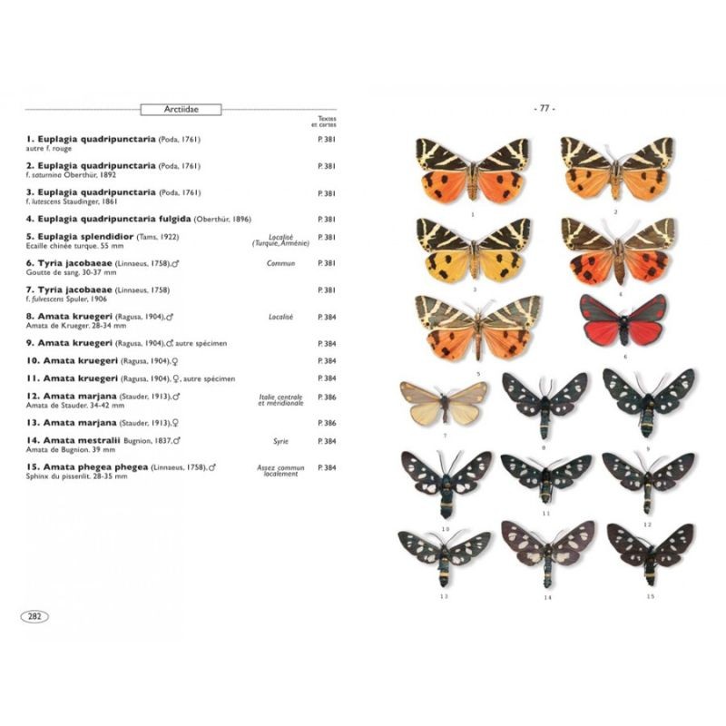 Papillons de nuit d'Europe - Volume 1 - Bombyx, Sphinx, Ecailles...