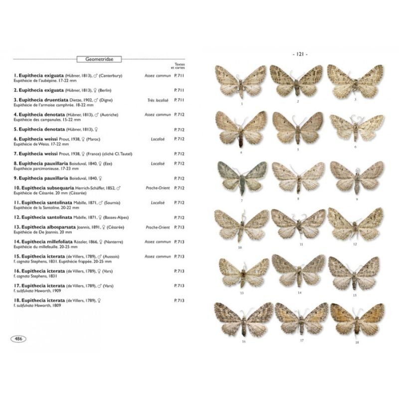 Papillons de nuit d'Europe - Volume 2 - Géomètres
