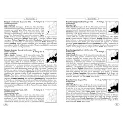 Papillons de nuit d'Europe - Volume 2 - Géomètres Papillons de nuit d'Europe - Volume 2 - Géomètres